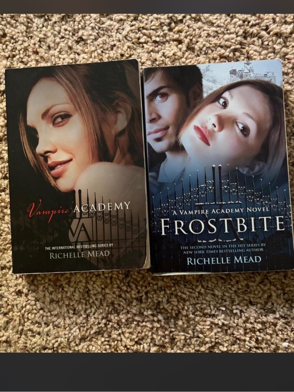 Vampire Academy 1st and 2nd Book